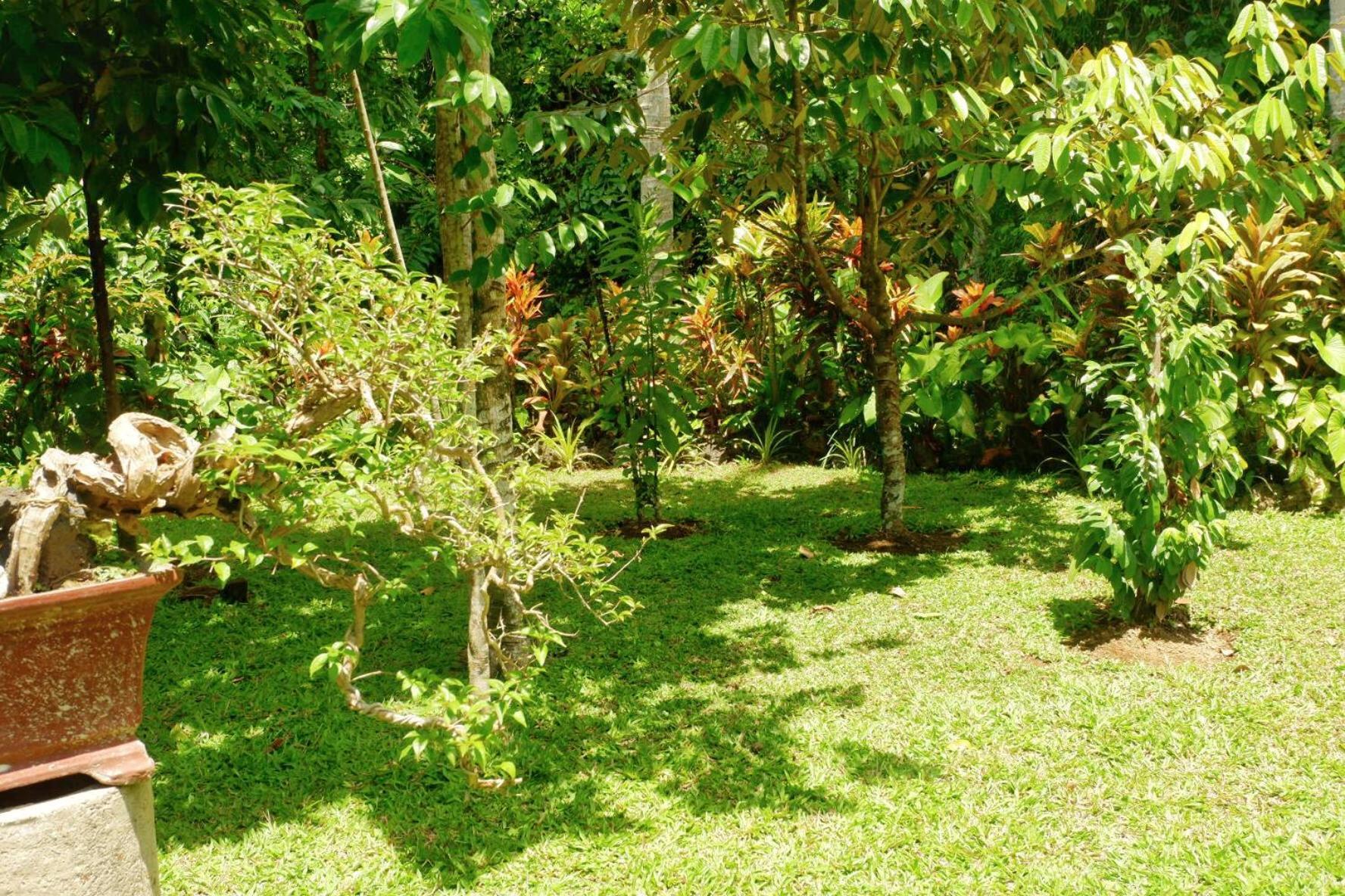 Artja Inn Ubud Ngoại thất bức ảnh